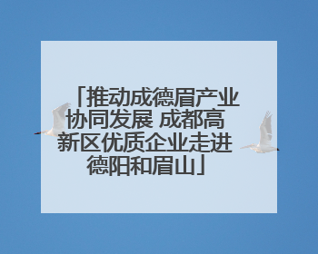 推动成德眉产业协同发展 成都高新区优质企业走进德阳和眉山