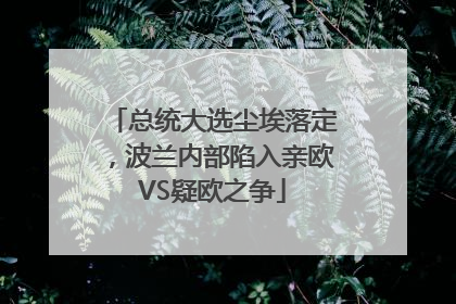 总统大选尘埃落定，波兰内部陷入亲欧VS疑欧之争