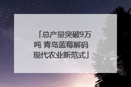 总产量突破9万吨 青岛蓝莓解码现代农业新范式