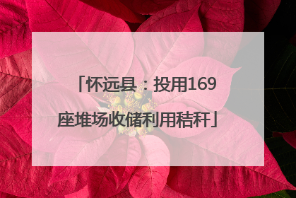 怀远县：投用169座堆场收储利用秸秆