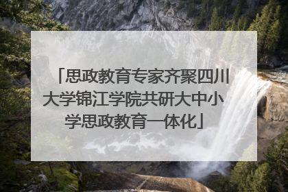 思政教育专家齐聚四川大学锦江学院共研大中小学思政教育一体化