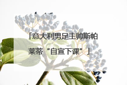 意大利男足主帅斯帕莱蒂“自宣下课”