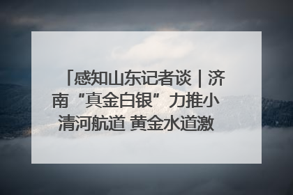 感知山东记者谈｜济南“真金白银”力推小清河航道 黄金水道激活区域经济新动能