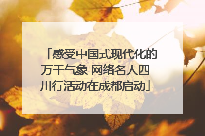 感受中国式现代化的万千气象 网络名人四川行活动在成都启动