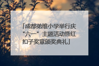 成都弟维小学举行庆“六一”主题活动暨红扣子奖章颁奖典礼