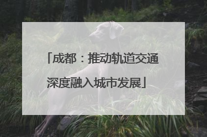 成都：推动轨道交通深度融入城市发展