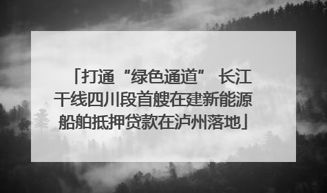 打通“绿色通道” 长江干线四川段首艘在建新能源船舶抵押贷款在泸州落地