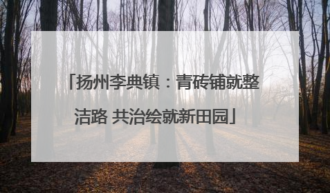 扬州李典镇：青砖铺就整洁路 共治绘就新田园