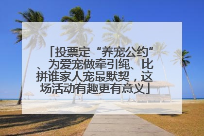 投票定“养宠公约”、为爱宠做牵引绳、比拼谁家人宠最默契，这场活动有趣更有意义
