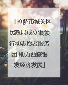 拉萨市城关区民政局成立银领行动志愿者服务团 助力西藏银发经济发展