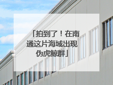 拍到了！在南通这片海域出现伪虎鲸群