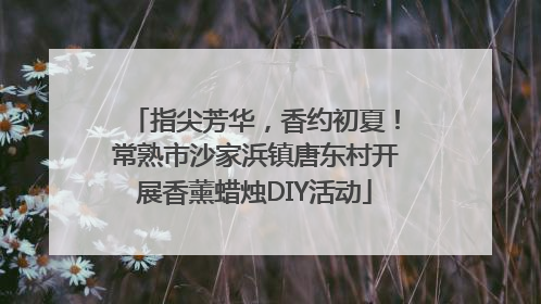 指尖芳华，香约初夏！常熟市沙家浜镇唐东村开展香薰蜡烛DIY活动