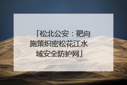 松北公安：靶向施策织密松花江水域安全防护网