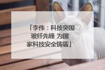 李伟：科技突围 玻纤先锋 为国家科技安全铸盾