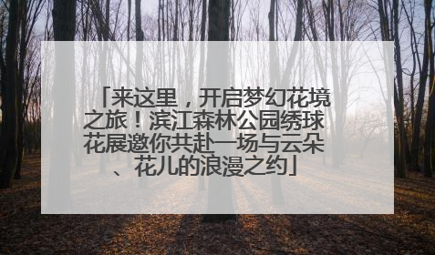 来这里，开启梦幻花境之旅！滨江森林公园绣球花展邀你共赴一场与云朵、花儿的浪漫之约