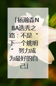杨瀚森NBA选秀之路：不是“下一个姚明” 努力成为最好的自己