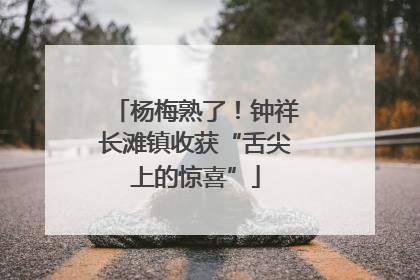 杨梅熟了！钟祥长滩镇收获“舌尖上的惊喜”