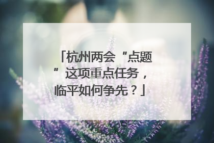 杭州两会“点题”这项重点任务，临平如何争先？