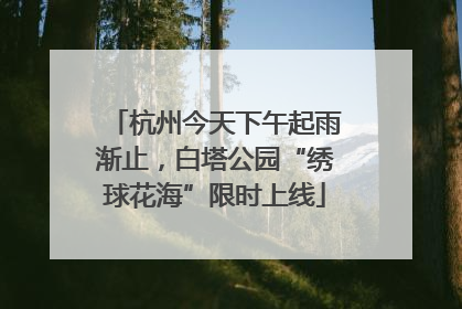杭州今天下午起雨渐止，白塔公园“绣球花海”限时上线
