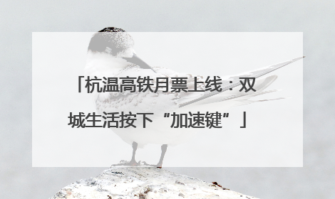 杭温高铁月票上线：双城生活按下“加速键”