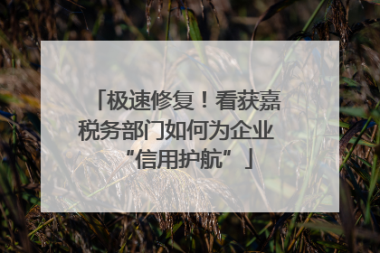 极速修复！看获嘉税务部门如何为企业“信用护航”