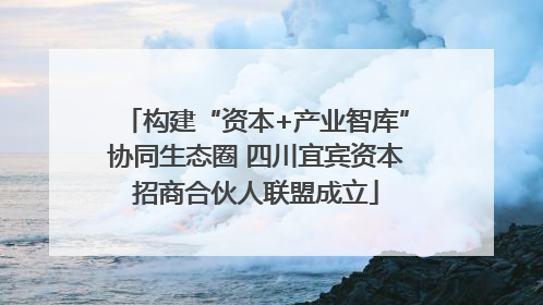 构建“资本+产业智库”协同生态圈 四川宜宾资本招商合伙人联盟成立
