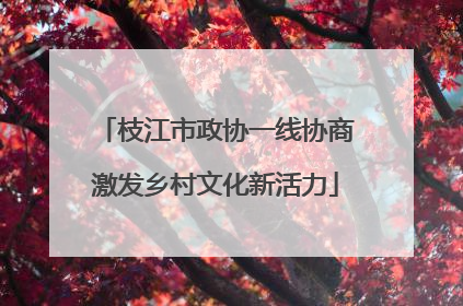 枝江市政协一线协商激发乡村文化新活力