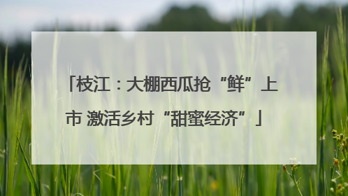 枝江：大棚西瓜抢“鲜”上市 激活乡村“甜蜜经济”