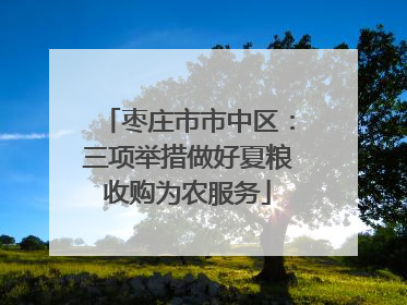枣庄市市中区：三项举措做好夏粮收购为农服务