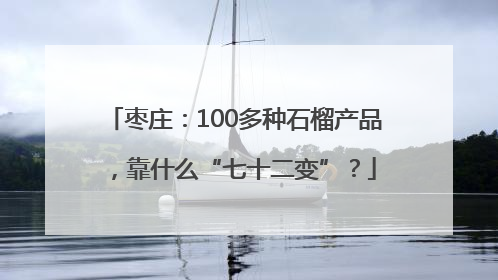 枣庄：100多种石榴产品，靠什么“七十二变”？