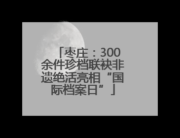 枣庄：300余件珍档联袂非遗绝活亮相“国际档案日”