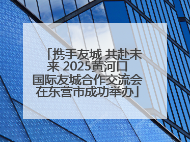 携手友城 共赴未来 2025黄河口国际友城合作交流会在东营市成功举办