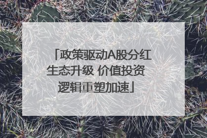 政策驱动A股分红生态升级 价值投资逻辑重塑加速