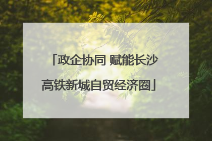 政企协同 赋能长沙高铁新城自贸经济圈