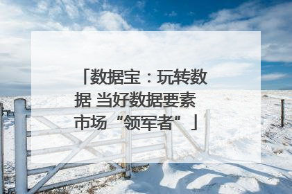 数据宝：玩转数据 当好数据要素市场“领军者”
