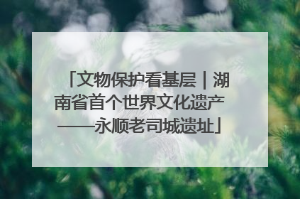 文物保护看基层｜湖南省首个世界文化遗产——永顺老司城遗址