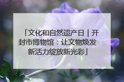 文化和自然遗产日｜开封市博物馆：让文物焕发新活力绽放新光彩