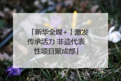新华全媒+丨激发传承活力 非遗代表性项目聚成都