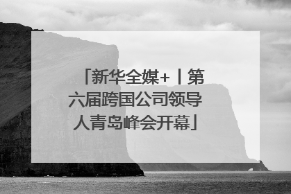 新华全媒+丨第六届跨国公司领导人青岛峰会开幕