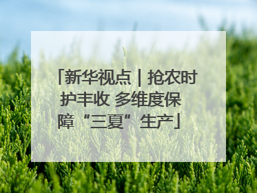 新华视点｜抢农时 护丰收 多维度保障“三夏”生产