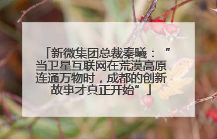 新微集团总裁秦曦：“当卫星互联网在荒漠高原连通万物时，成都的创新故事才真正开始”