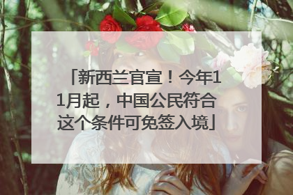 新西兰官宣！今年11月起，中国公民符合这个条件可免签入境