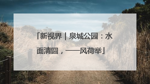 新视界｜泉城公园：水面清圆，一一风荷举