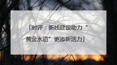 时评：新线建设助力“黄金水道”更添新活力