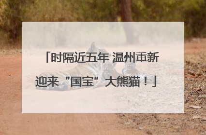 时隔近五年 温州重新迎来“国宝”大熊猫！