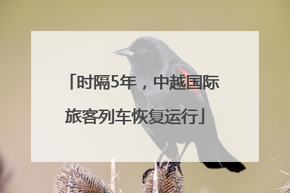 时隔5年，中越国际旅客列车恢复运行