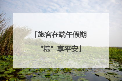 旅客在端午假期“粽”享平安