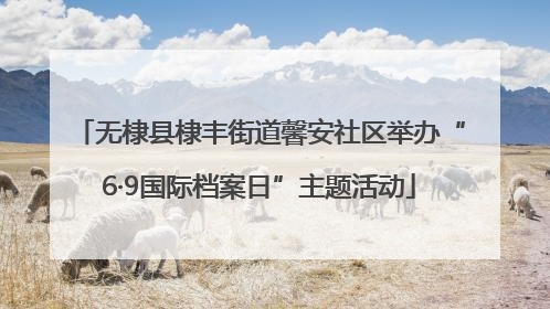 无棣县棣丰街道馨安社区举办“6·9国际档案日”主题活动