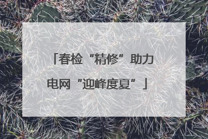 春检“精修”助力电网“迎峰度夏”