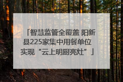 智慧监管全覆盖 阳新县225家集中用餐单位实现“云上明厨亮灶”